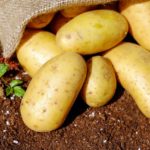 ПРЯНЫЕ ИНДИЙСКИЕ ОЛАДЬИ ИЗ КАРТОФЕЛЯ И ГОРОХА